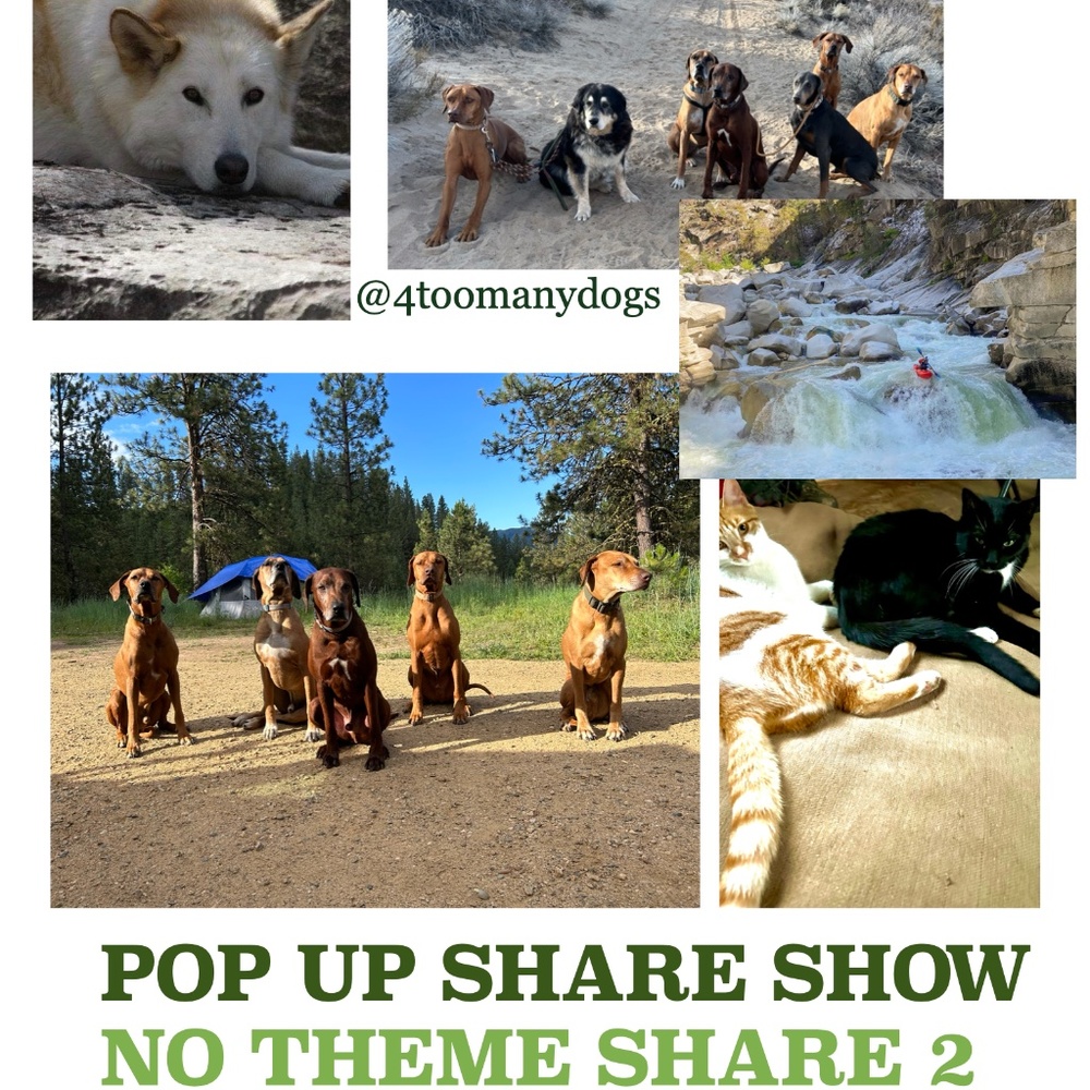 LIVE SHARE SHOW Saturday Jan 24- 430  EST/130 PST Vintage/Handcraft./Retro